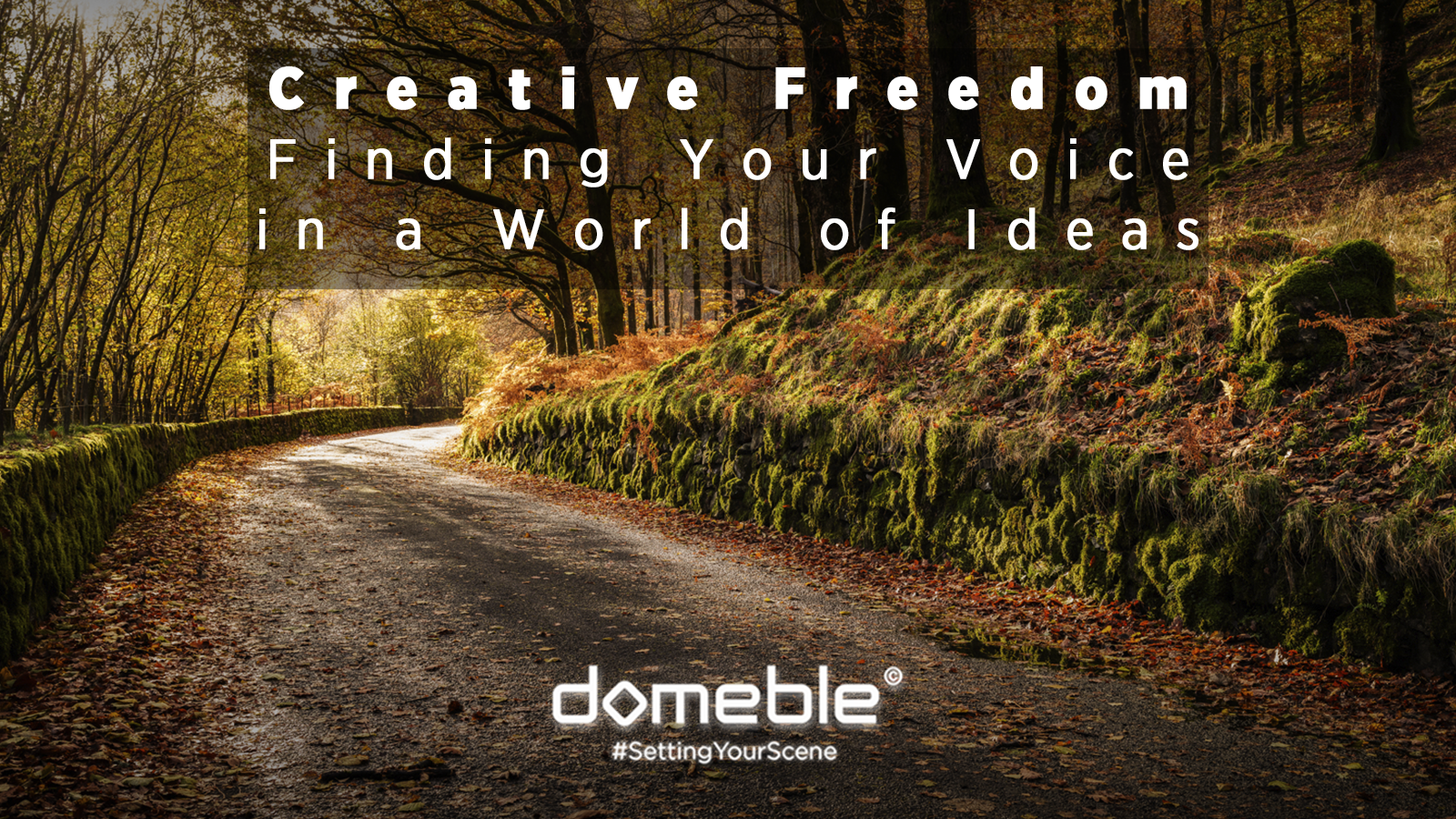 Creative Freedom: Finding your voice in a world full of ideas