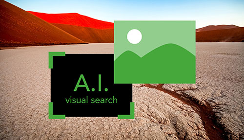 AI VISUAL SEARCH